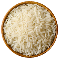 Rice  Exhibition in India